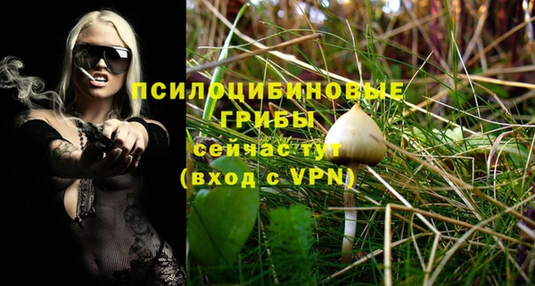 гидра Балахна
