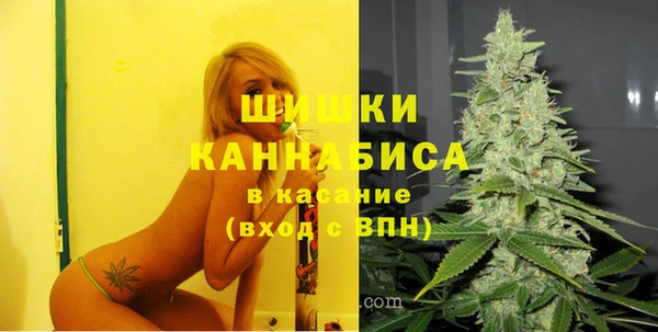гидра Балахна